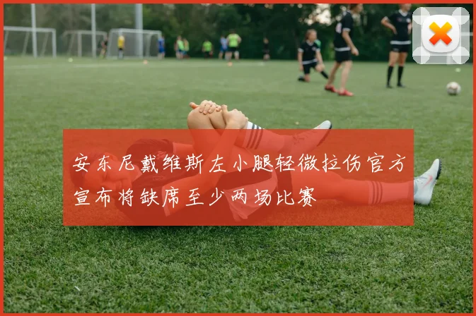 安东尼戴维斯左小腿轻微拉伤官方宣布将缺席至少两场比赛