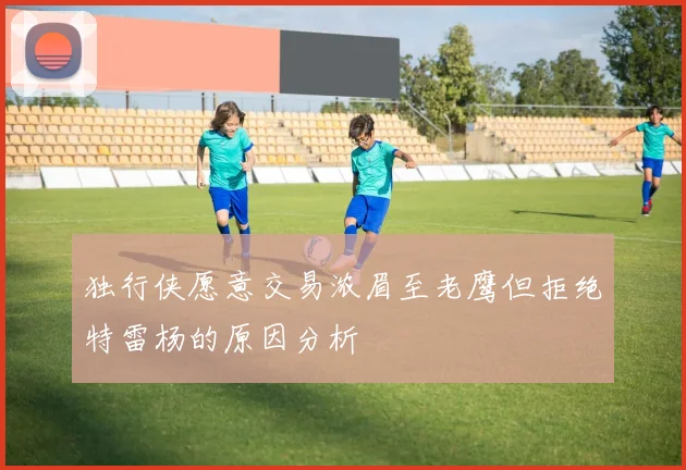 独行侠愿意交易浓眉至老鹰但拒绝特雷杨的原因分析