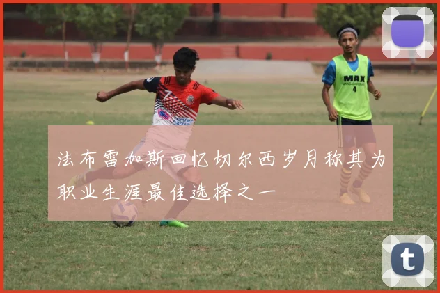 法布雷加斯回忆切尔西岁月称其为职业生涯最佳选择之一