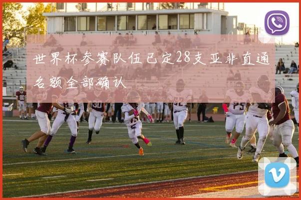 世界杯参赛队伍已定28支亚非直通名额全部确认