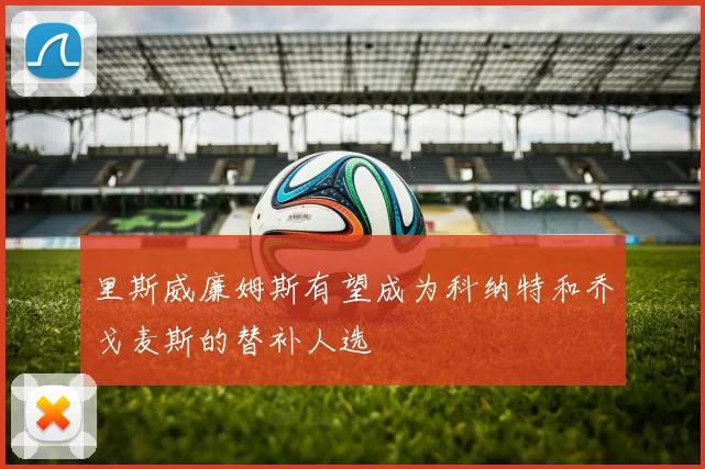 里斯威廉姆斯有望成为科纳特和乔戈麦斯的替补人选