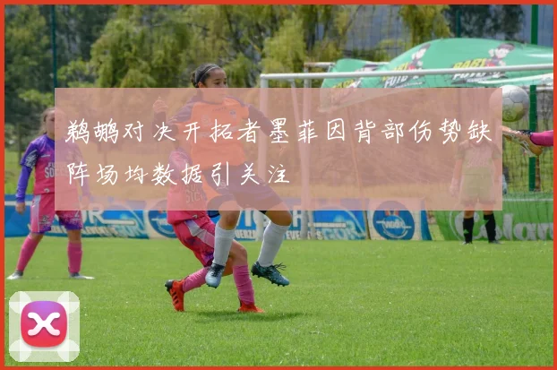 鹈鹕对决开拓者墨菲因背部伤势缺阵场均数据引关注